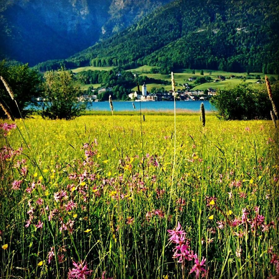 Fumerhof Штробль Экстерьер фото