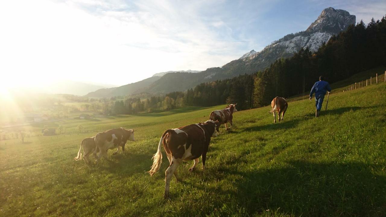 Fumerhof Штробль Экстерьер фото