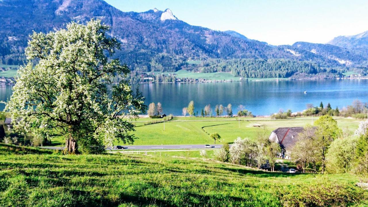 Апартаменты Fumerhof Штробль Экстерьер фото