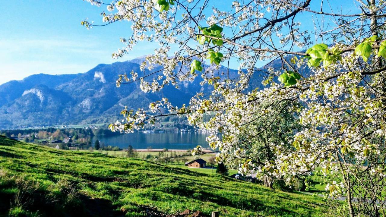 Fumerhof Штробль Экстерьер фото