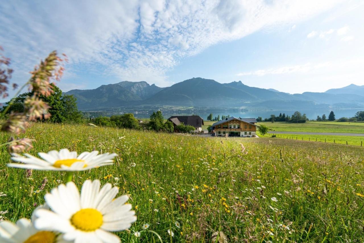 Апартаменты Fumerhof Штробль Экстерьер фото